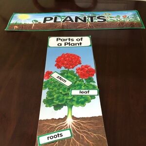 Educational Plant Diagram Poster